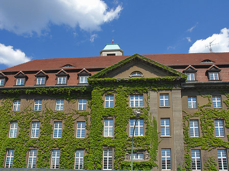 Rathaus Spandau