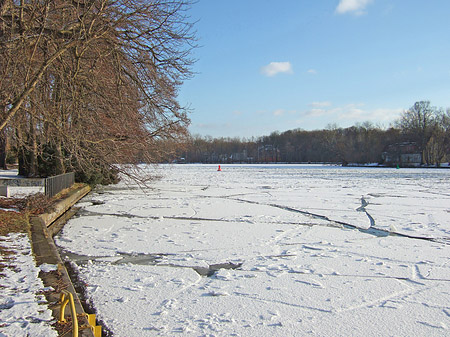 Fotos Eis im Wald | Berlin