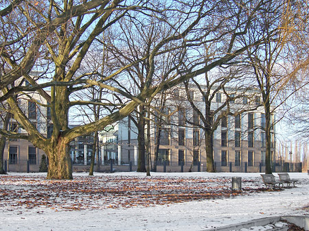 Wald mit Schnee Fotos