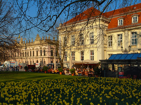 Foto Opernpalais