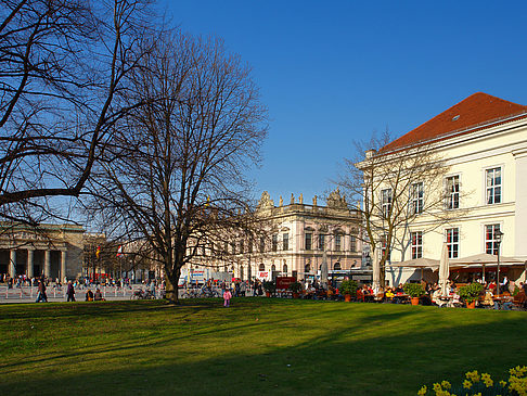 Opernpalais Foto 