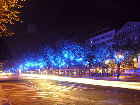 Unter den Linden Foto 
