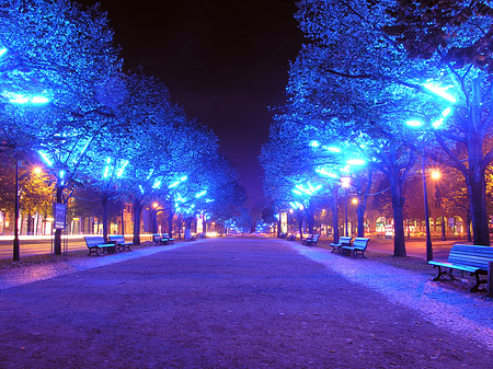 Foto Unter den Linden - Berlin
