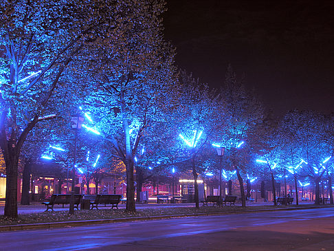 Unter den Linden Fotos