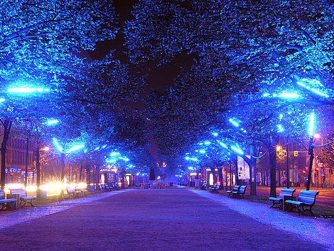 Unter den Linden