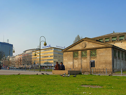 Foto Wiese