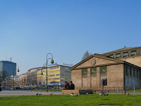 Fotos Wiese