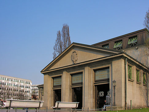 Wiese
