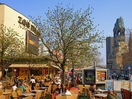 Café am Zoo Palast Fotos