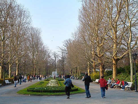 Foto Eingang zum Zoo