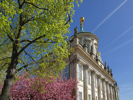 Fotos Altes Rathaus | Potsdam