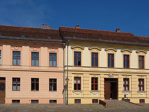 Einstein Forum