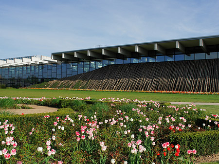 Foto Bundesgartenschau - Potsdam