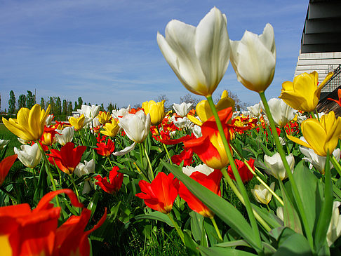 Bundesgartenschau