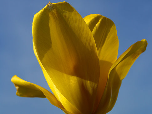 Bundesgartenschau