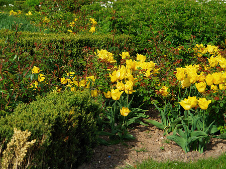 Bundesgartenschau