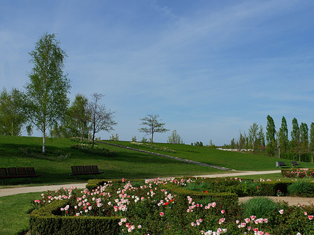 Foto Bundesgartenschau - Potsdam