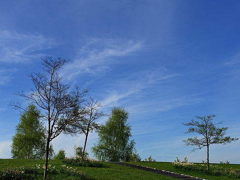 Foto Bundesgartenschau - Potsdam