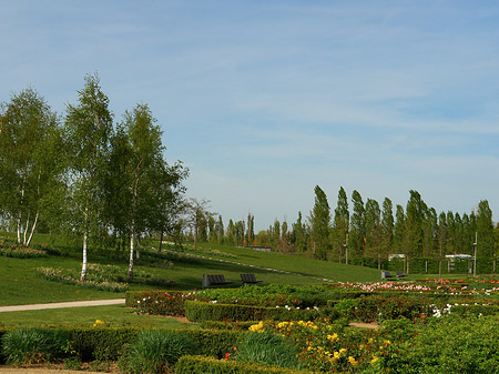 Foto Bundesgartenschau - Potsdam