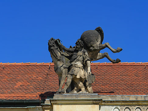 Fotos Ornamente | Potsdam