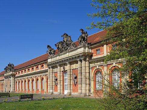 Fotos Filmmuseum mit Wiese