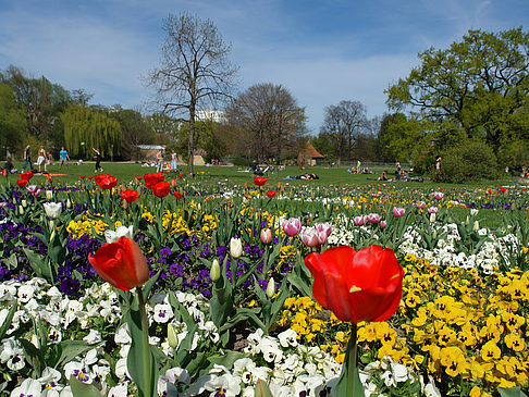 Blumen
