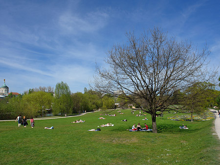 Foto Liegewiese - Potsdam