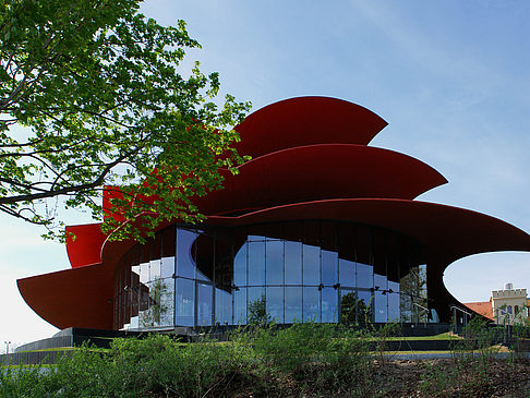 Fotos Dach des Theaters