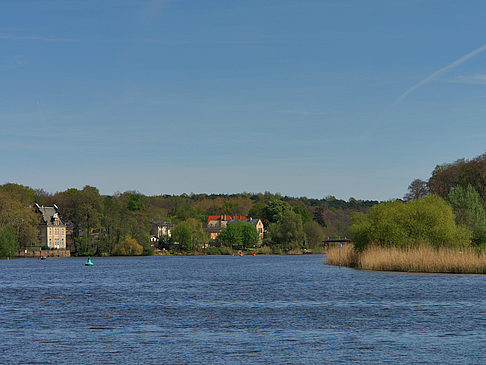 Havel Foto 