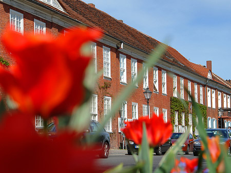 Fotos Blumen