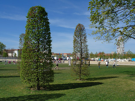 Foto Spielwiese - Potsdam