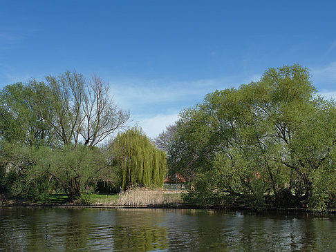 Fluss Foto 