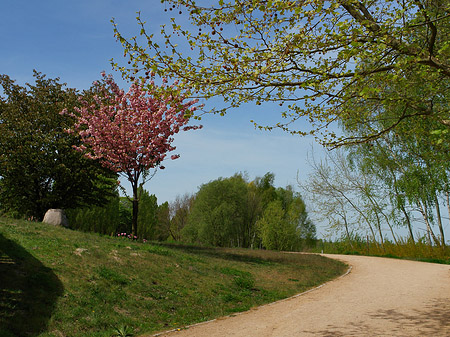 Foto Volkspark Klein Glienicke
