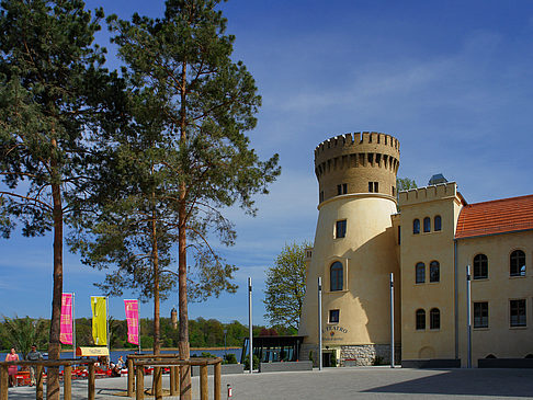 Zichorienmühle Foto 