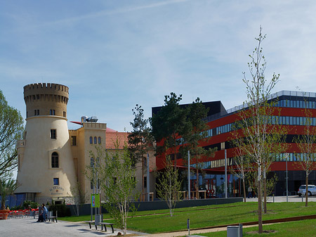 Foto Zichorienmühle