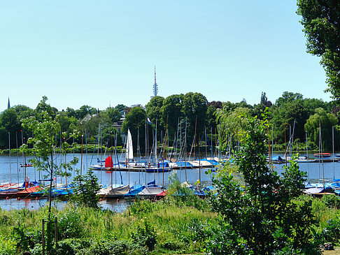Foto Bootsverleih und Hafen auf der Außenalster - Hamburg