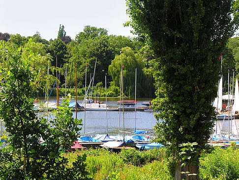 Foto Bootsverleih und Hafen auf der Außenalster