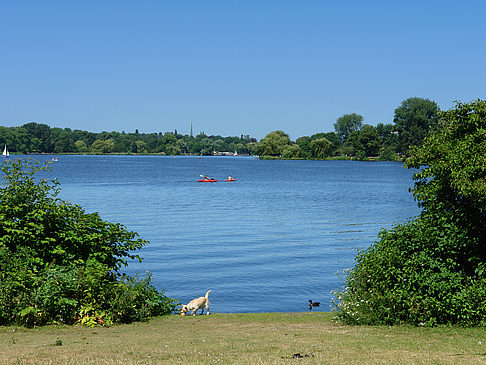 Schöne Aussicht