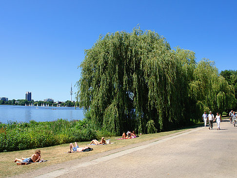 Foto Schöne Aussicht