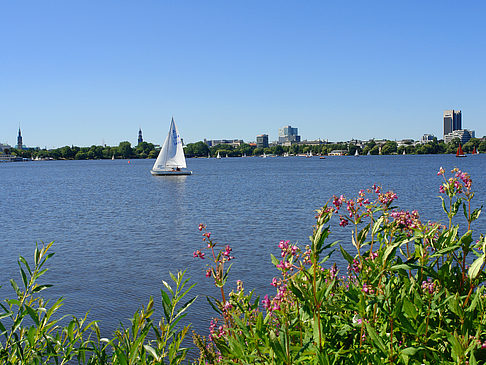 Segeln auf der Außenalster
