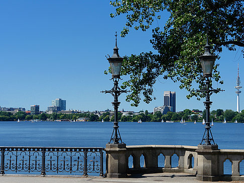 Fotos Bäume und Laterne an der Binnenalster | Hamburg