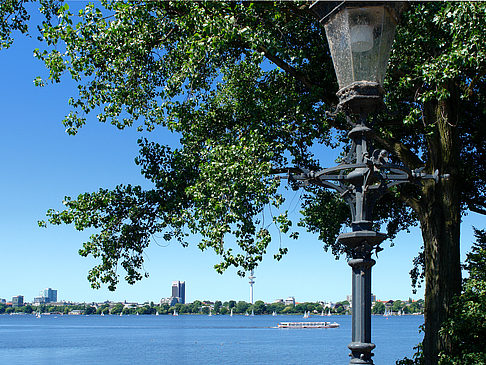 Fotos Bäume und Laterne an der Binnenalster
