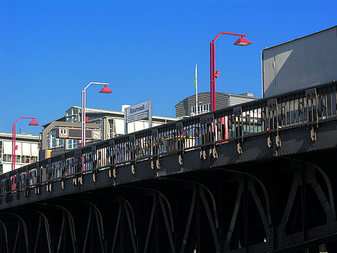 Fotos Baumwall
