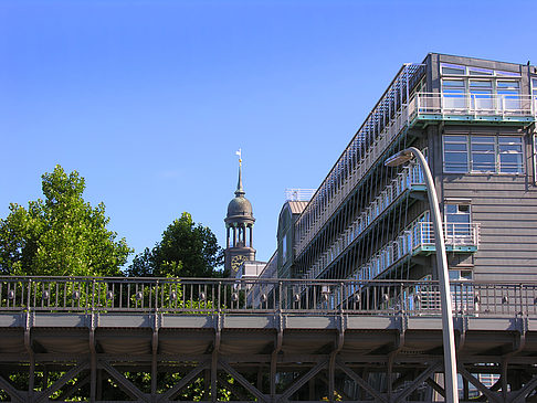 Baumwall Fotos