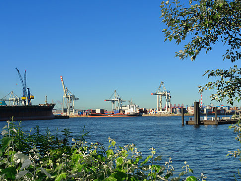 Foto Blick auf den Hafen - Hamburg