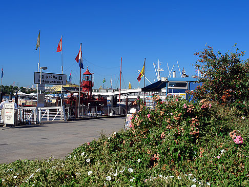 Niederhafen Foto 