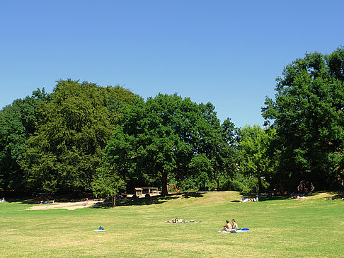Fotos Innocentiapark