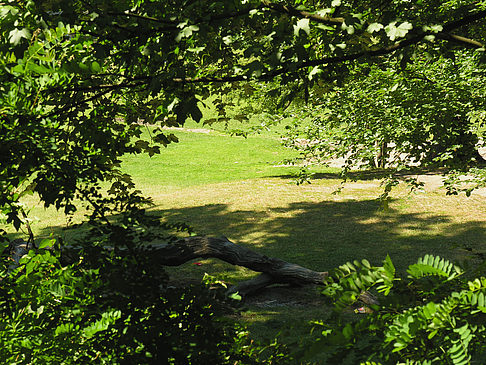 Fotos Innocentiapark