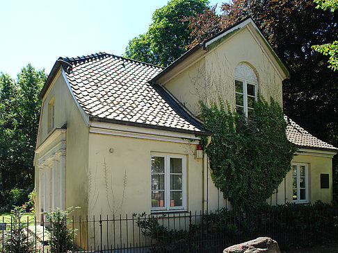 Heinehaus Fotos