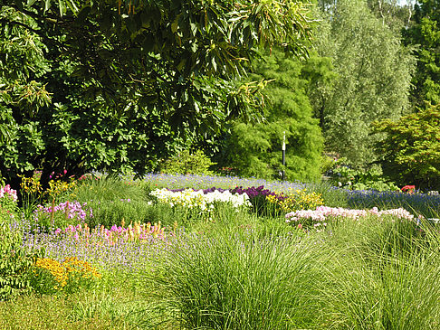 Foto Planten un Blomen - Gärten